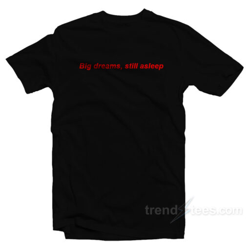 Big Dreams Still Asleep T-Shirt For Unisex
