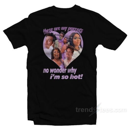 Harry And Lizzo No Wonder Why I’m So Hot T-Shirt