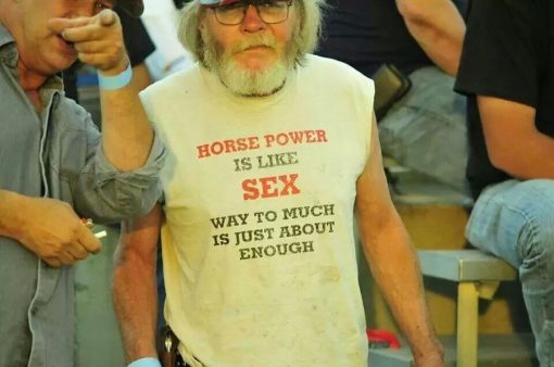 Horse Power Is Like Sex T-Shirt