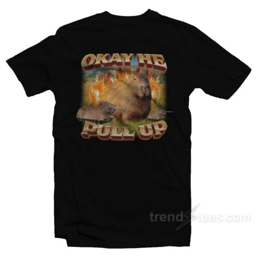 Okay He Pull Up Capybara T-Shirt