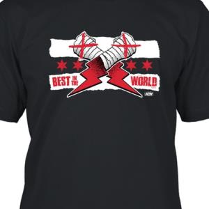 CM Punk Best In The World Variant Shirt