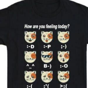 How Are You Feeling Today Funny Cat Shirt