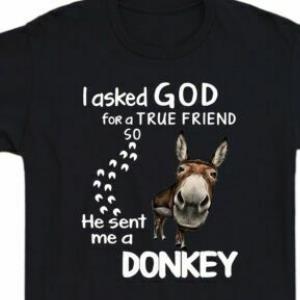 I Asked God For A True Friend So He Sent Me A Donkey Shirt
