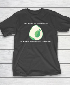 Mother’s Day Funny Gift Ideas Apparel  An Egg is Growing Mom T-Shirt