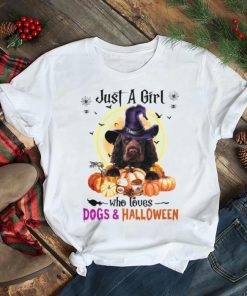 Sussex Spaniel Just A Girl Who Loves Dogs And Halloween Shirt