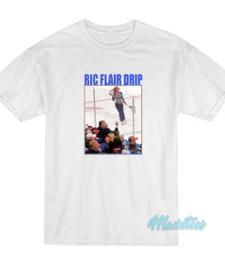 Brett Hull Ric Flair Drip T-Shirt Brett Hull Ric Flair Drip T-Shirt