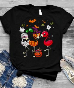 Witch Flamingo Halloween 2022 tee shirt