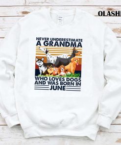 Dog Never Underestimate A Grandma Who Loves Books And Was Born In June Shirt Dog Never Underestimate A Grandma Who Loves Books And Was Born In June Shirt