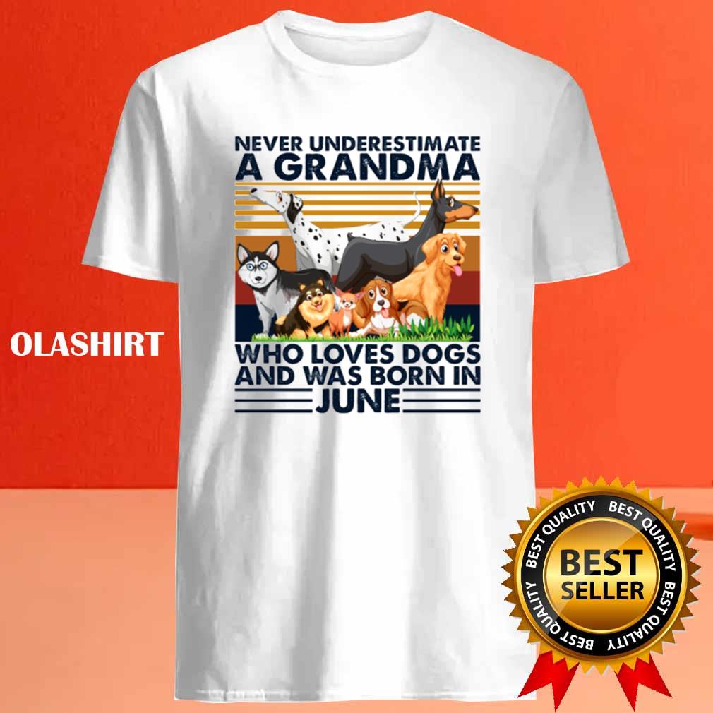 Dog Never Underestimate A Grandma Who Loves Books And Was Born In June Shirt Dog Never Underestimate A Grandma Who Loves Books And Was Born In June Shirt
