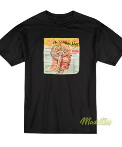 Flaming Lips UFOS Over China 1994 T-Shirt