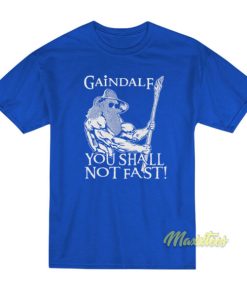 Gaindalf You Shall Not Fast T-Shirt