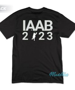 I Like What Drake Likes It’s All A Blur 2023 T-Shirt