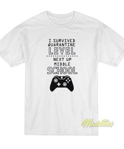 I Survived Quarantine Level T-Shirt I Survived Quarantine Level T-Shirt