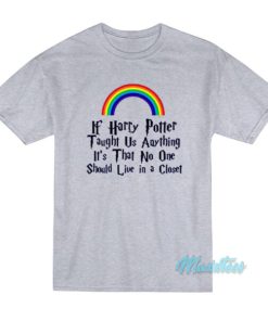 If Harry Potter Taught Us Anything Rainbow T-Shirt