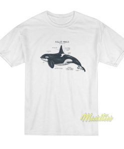 Killer Whale Anatomy T-Shirt 1 Killer Whale Anatomy T Shirt 2