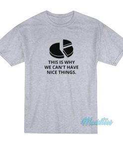 This Is Why We Can’t Have Nice Things T-Shirt This Is Why We Can’t Have Nice Things T-Shirt
