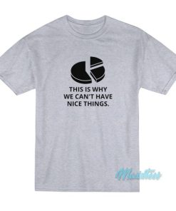 This Is Why We Can’t Have Nice Things T-Shirt