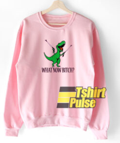 Dinosaurus Unicorn sweatshirt