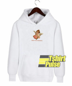 Don’t Be An Idiot Angel hooded sweatshirt clothing unisex hoodie
