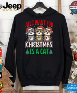 All i want for christmas is a cat shirt
