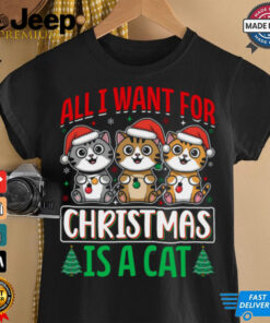 All i want for christmas is a cat shirt 3 All i want for christmas is a cat shirt 4