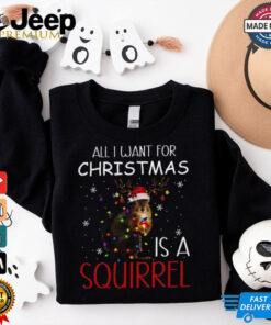 all i want for christmas is a squirrel shirt