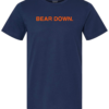 BEAR DOWN
