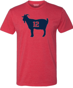 NEW ENGLAND'S GOAT 12 2 NEW ENGLANDS GOAT 12 3