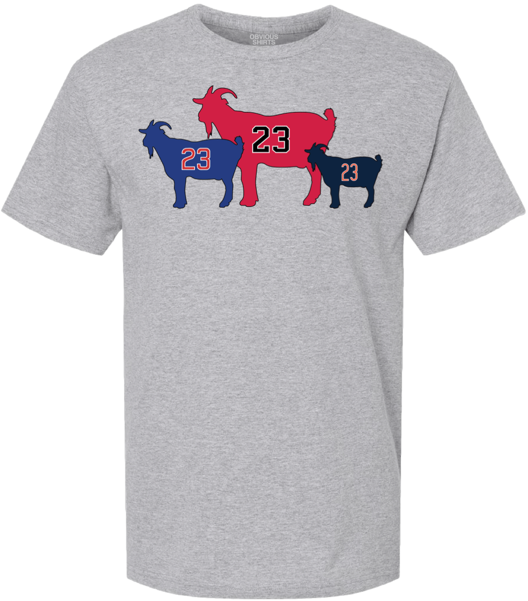 THE CHICAGOATS THE CHICAGOATS