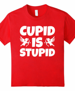 Valentines Day Gifts Stupid T Shirt